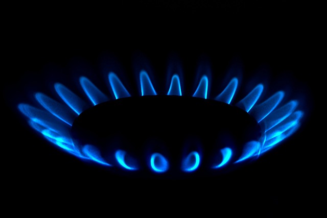 gas stove, flame, burner, stove, natural gas, fire, blue flame, gas, close up, natural gas, natural gas, natural gas, natural gas, natural gas, gas, gas